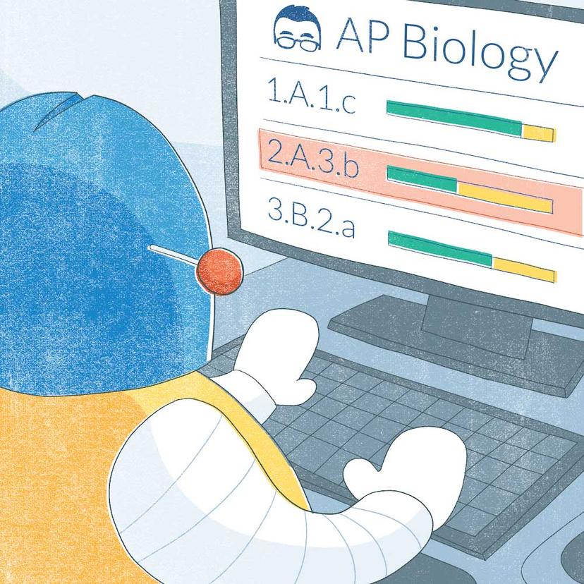 The data analytics that are provided for each standard help Ms. Whiteeagle decide where to prioritize her teaching time.